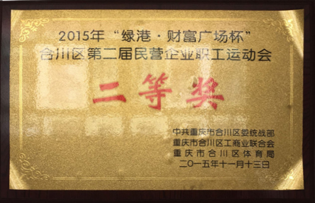 2015年合川區(qū)第二屆民營(yíng)企業(yè)職工運(yùn)動(dòng)會(huì)